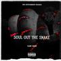 Soul Out The Snake (Explicit)