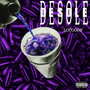 Desolé (Explicit)