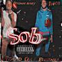 Dtown baby S.O.B (feat. 1 hot) [Explicit]