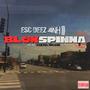 BlokSpinna (feat. Cartel Splash) [Explicit]