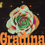 Gradina (Explicit)