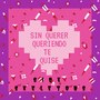 Sin Querer Queriendo Te Quise