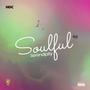 Soulful Serendipity (Explicit)