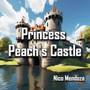 Princess Peach's Castle (from: 