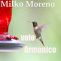 Volo Armoinico