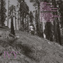 Ivy (Explicit)