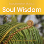 Tao Meditation Music for Soul Wisdom