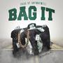 Bag It (Explicit)