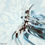 Cyan_25