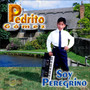 Soy Peregrino