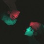 Tubozz (Explicit)