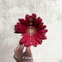 Gerbera (Explicit)