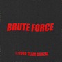 Brute Force