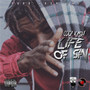 Life of Sin (Explicit)