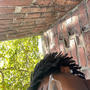 INTERNET LOVE (Explicit)