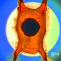 il Tempo di un Giorno (Explicit)