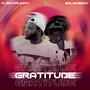 Gratitude (feat. Dj bayorlesky) [Explicit]