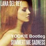 Summertime Sadness (YOOK!E bootleg)