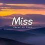 Miss (feat. KWAN) [Speed Up Song] [Explicit]