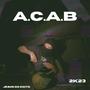 A.C.A.B / 2K23 (Explicit)