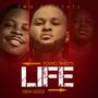 Life (feat. Demi Godz) [Explicit]