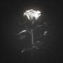 Dreams and Nightmares (Instrumental)
