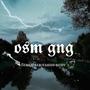 Osm GNG (feat. A.E.K, YAMAN & BVHV) [Explicit]