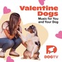 Valentine Dogs