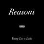 Reasons (Explicit)