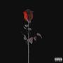 Concrete Rose (Explicit)