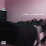 like a dream. (Explicit)