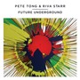 Pete Tong & Riva Starr - Future Underground Mixtape