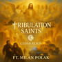 Tribulation Saints