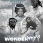 Wonder Why (Explicit)