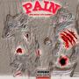 Painn (Explicit)