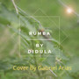 Rumba By Didula