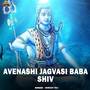 Avenashi Jagvasi Baba Shiv