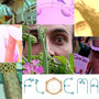 Floema Musical