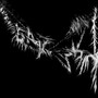 Бай (Explicit)
