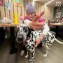 Dogs n Cooks (Explicit)