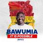 IT IS POSSIBLE (BAWUMIA)