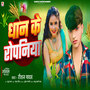 Dhan Ke Ropaniya