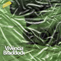 Vivência Braddock (Explicit)