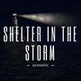 Shelter in the Storm (feat. Destany Joy)