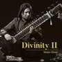 Divinity II
