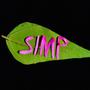 SIMP (feat. Sweetbabyjesus) [Explicit]