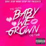 Baby We Grown (feat. FME Tank)