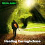 Healing Curraghchase