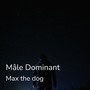 Mâle dominant