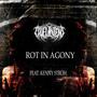 Rot In Agony (feat. Kenny Stroh & DeadVectors) [Explicit]